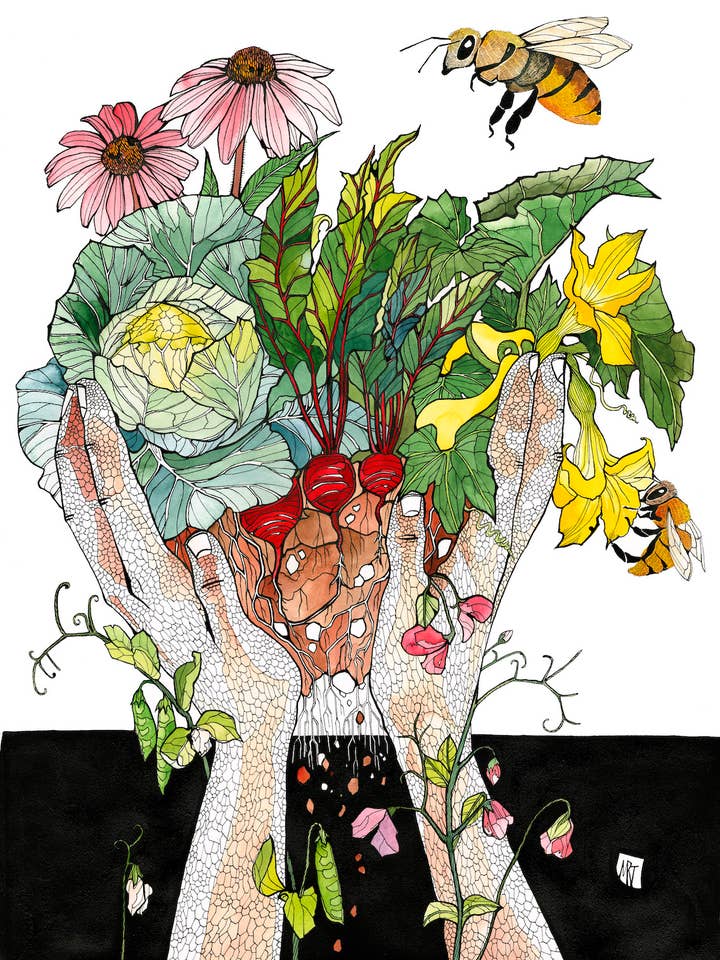Print - Summer's bounty for wholesale by Mattie Rose Art