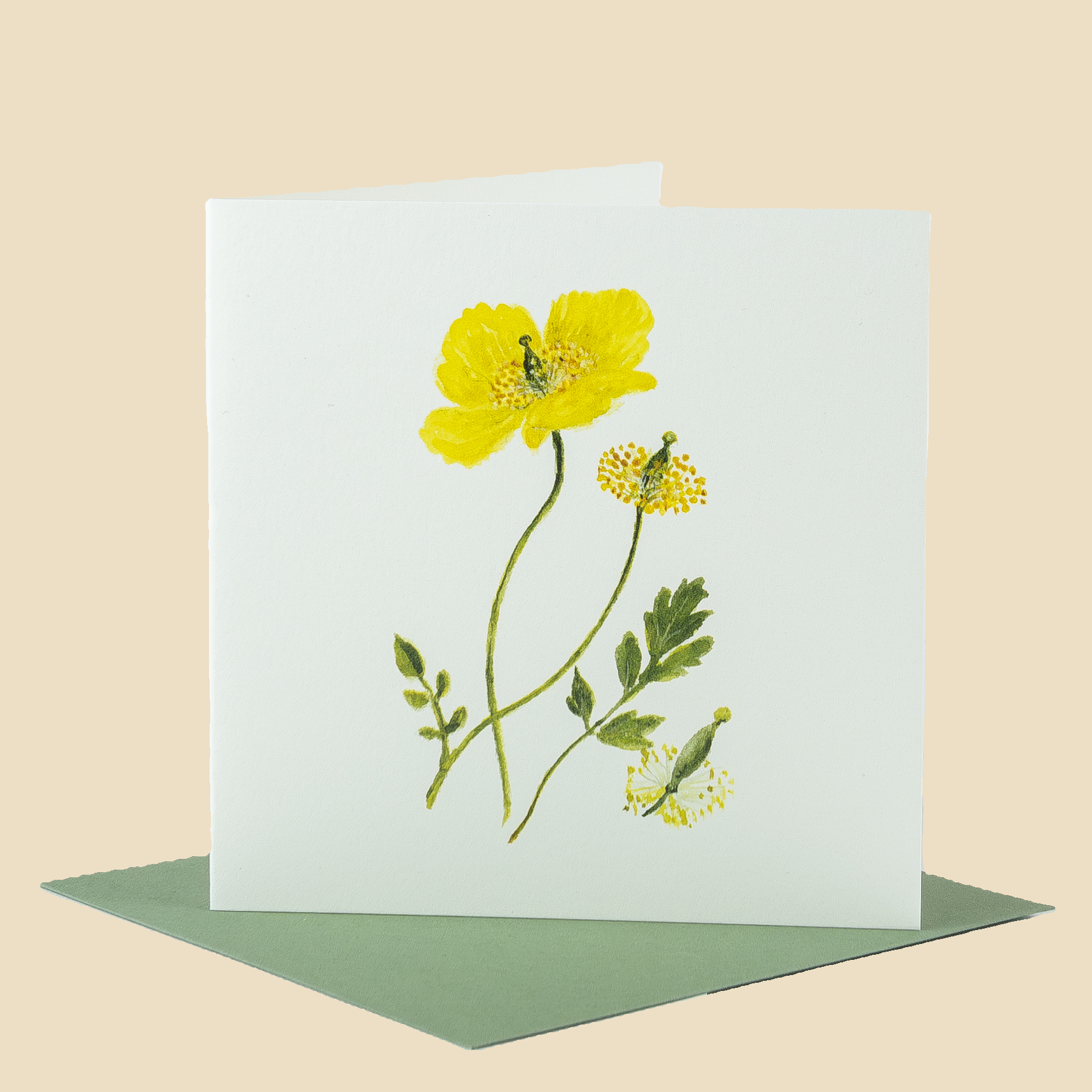 Sophia Davenport - Wholesale Everyday Greeting Card - Wildflower Greeting Cards and Notelets52