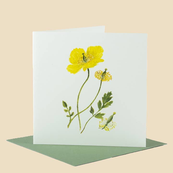 Sophia Davenport - Wholesale Everyday Greeting Card - Wildflower Greeting Cards and Notelets52