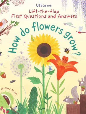 First Questions and Answers: How do flowers grow? for wholesale by HarperCollins