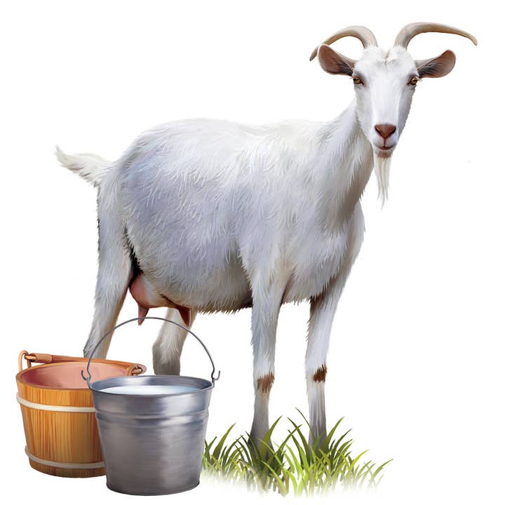 Morning Goat Milking for wholesale by Simple Soaps For Simple Folks