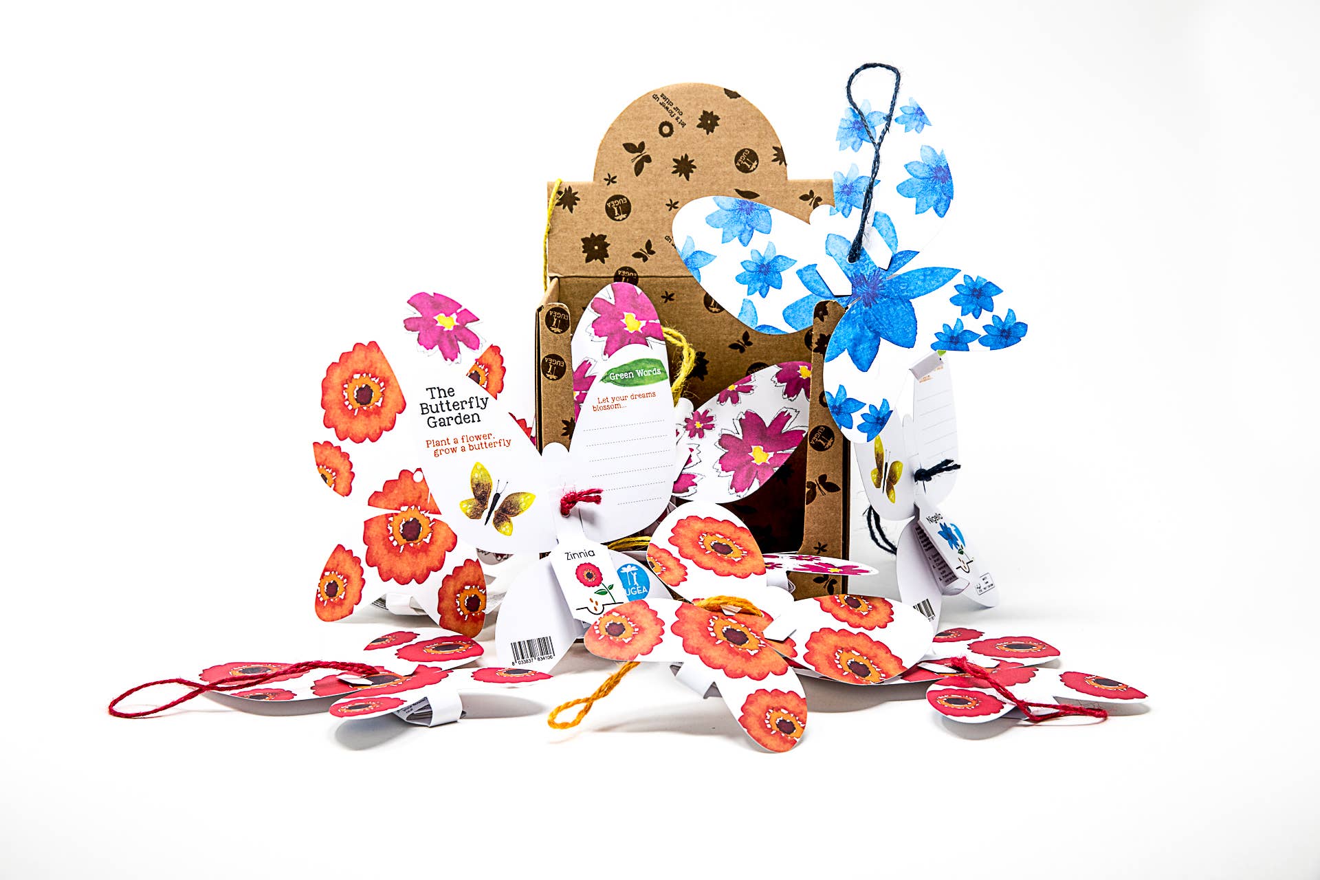 EUGEA - Vendita all'ingrosso Kit per lavoretti fai da te - Green words - Gea azzurra con semi di Nigella3