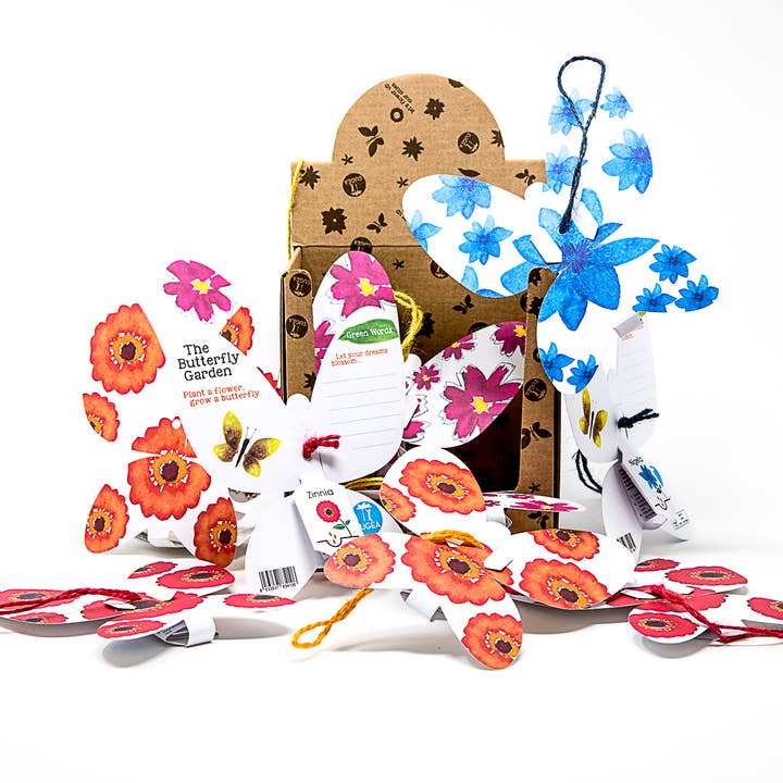 EUGEA - Vendita all'ingrosso Kit per lavoretti fai da te - Green words - Gea azzurra con semi di Nigella3