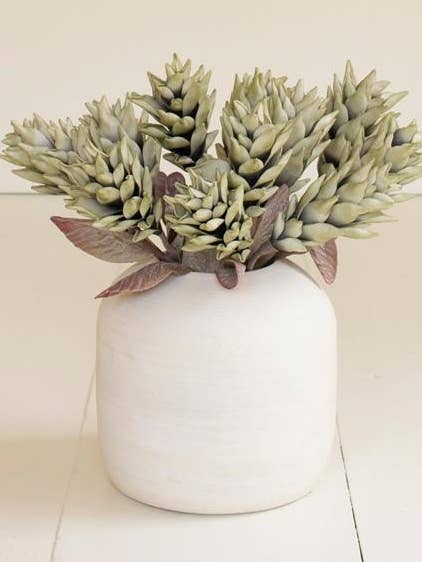 BOTANICA #3580 for wholesale by Kalalou