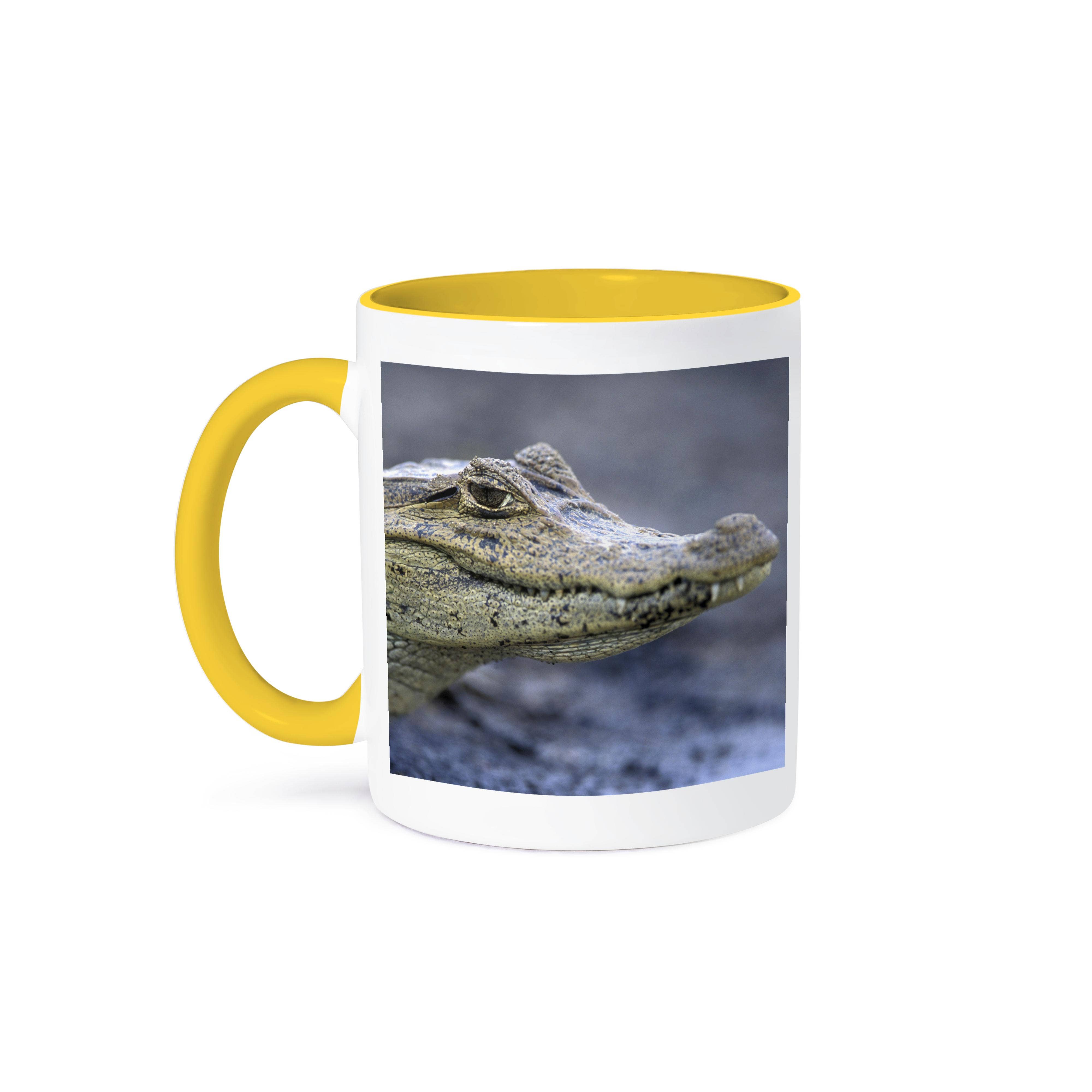 3dRose - Wholesale Coffee Mug - 3dRose, Costa Rica, Cano Negro, Spectacled Caiman crocodile - SA22 PSO0013 - Paul Souders, Mug0