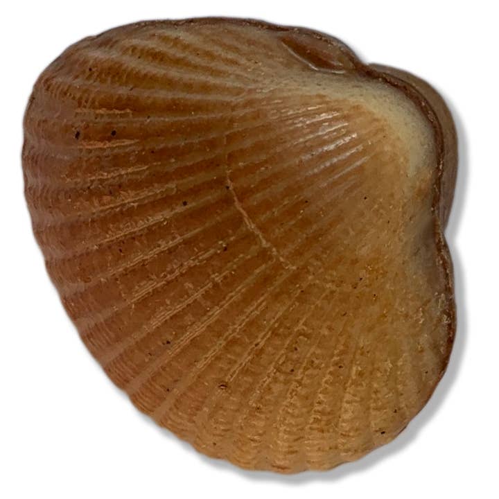 Les Coques de Cabourg - Wholesale Chocolate Box - Les Coques de Cabourg5