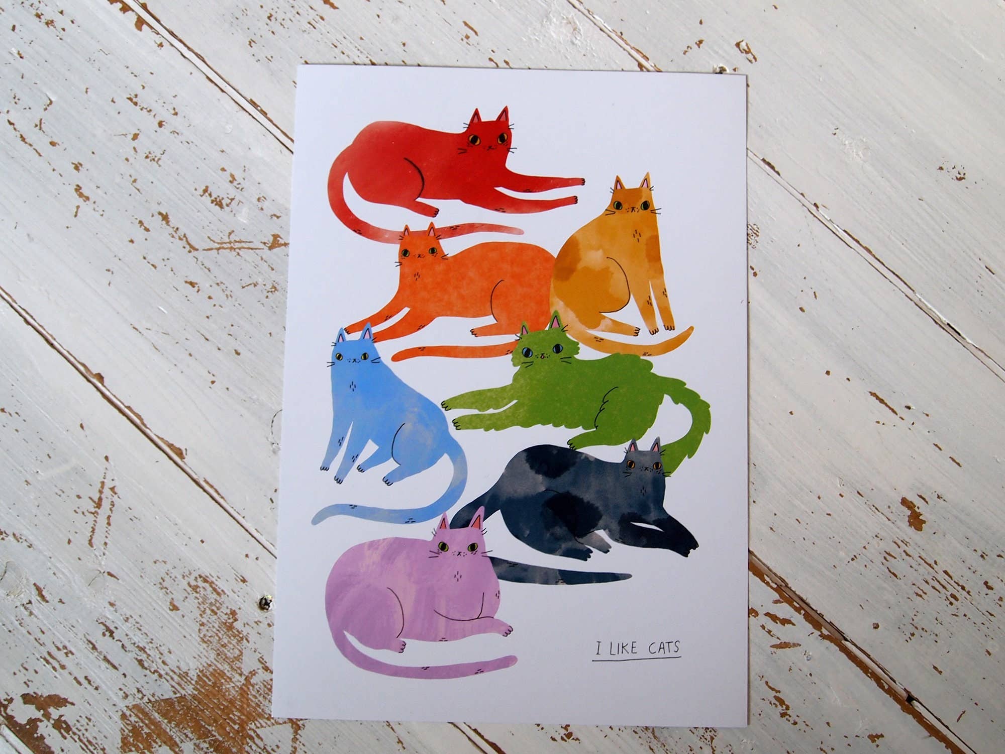 I LIKE CATS – wholesale Art print – Rainbow Cats Pride A4 Print1