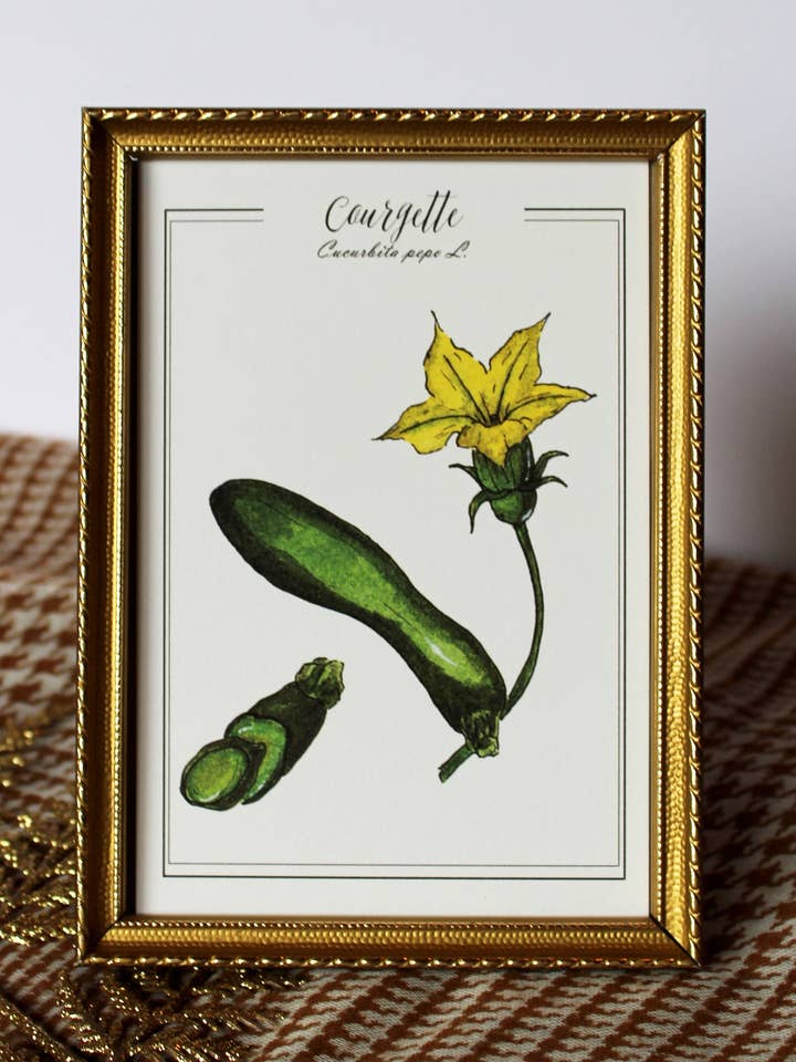 Botanische Aquarell-Postkarte Gemüse Zucchini für den Großhandel von Au cœur des lunes