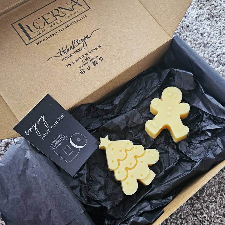 Kerstmis Sojawas Kaarsen Kleine Aangepaste Cadeaubox 2 voor wholesale door Lucerna Candles US