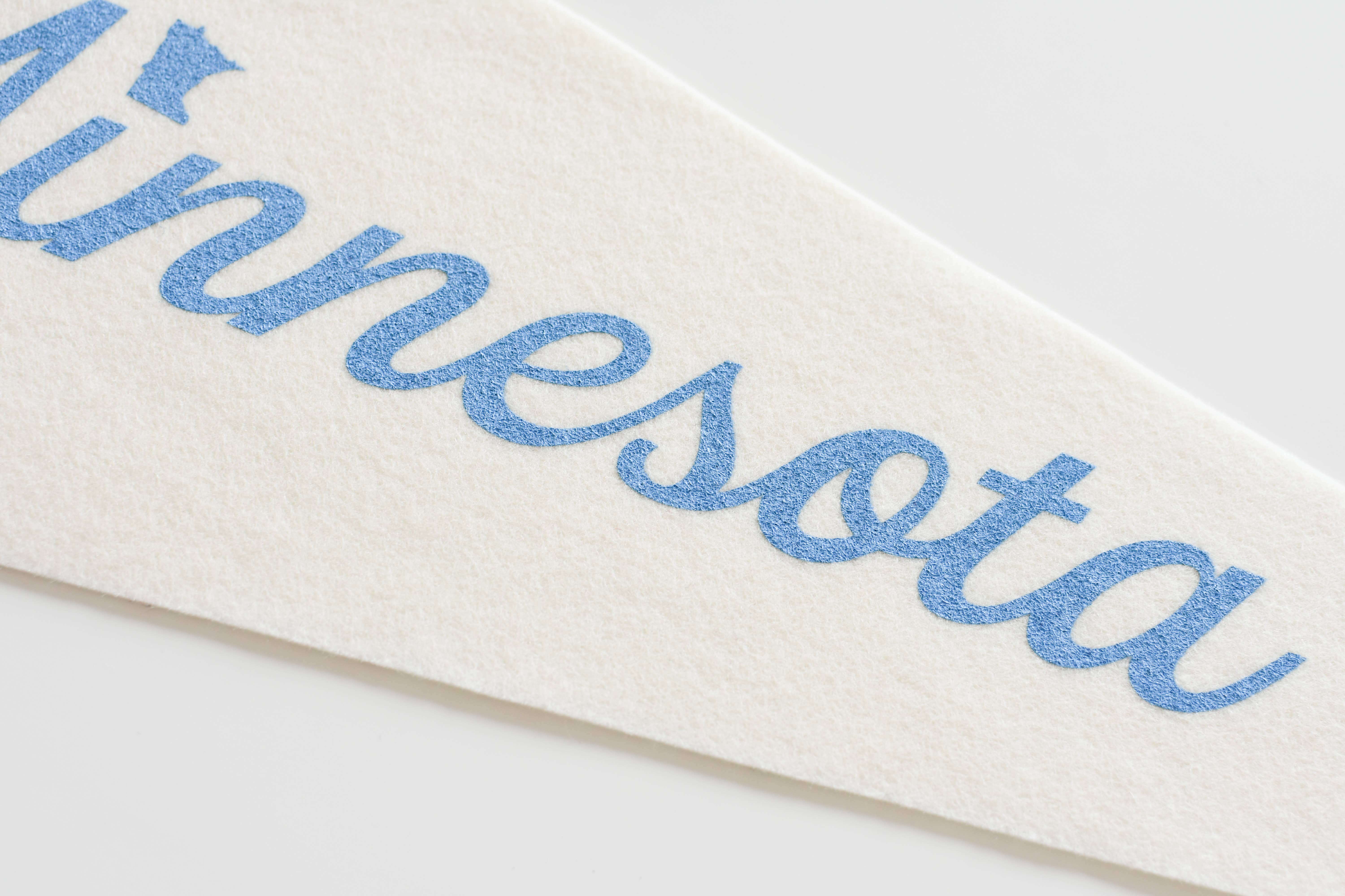 By Aleisha - Wholesale Flag - Minnesota Felt Pennant11