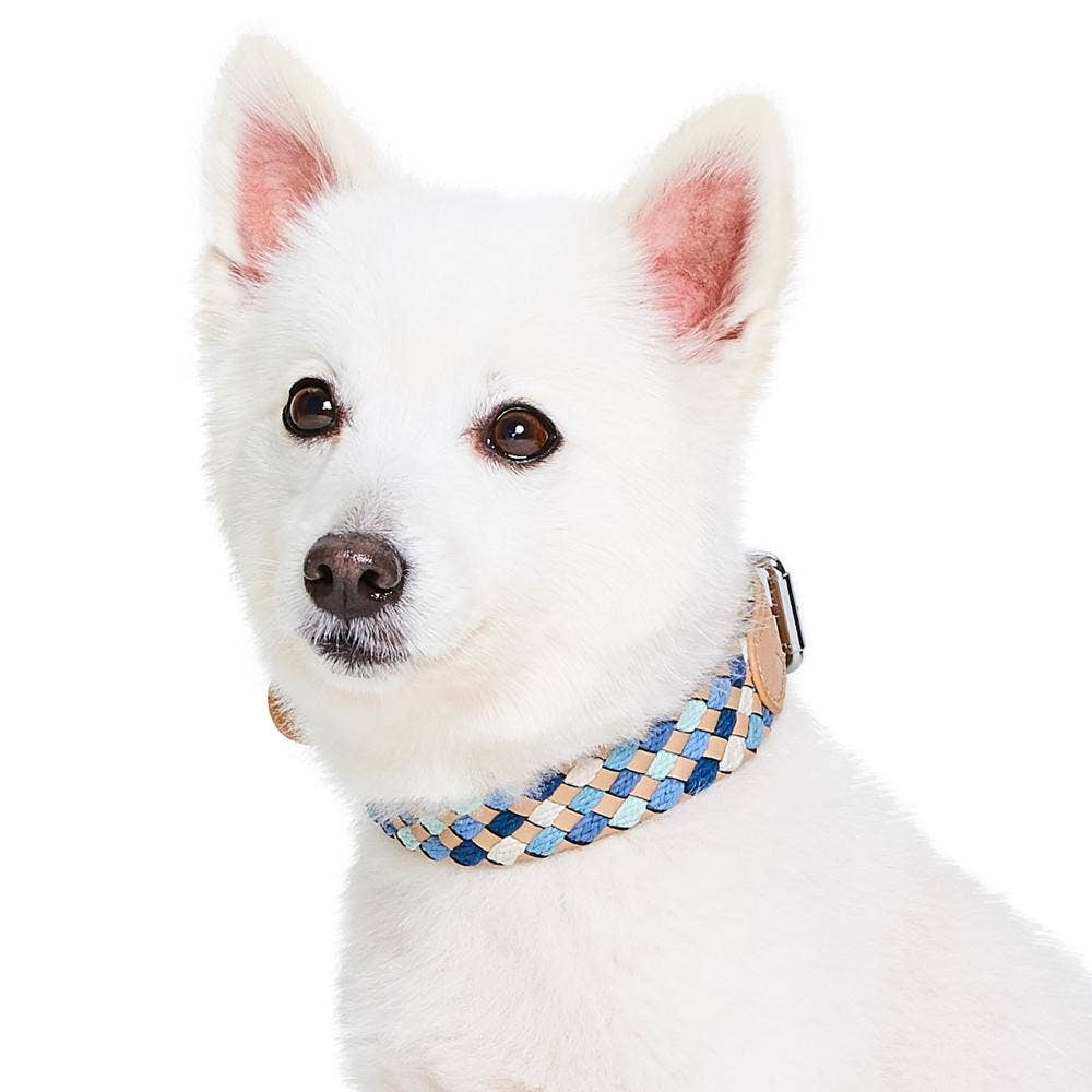 Blueberry Pet – wholesale Halsband - Hund – Flätat hundhalsband i fullnarvat läder, 2 färger6