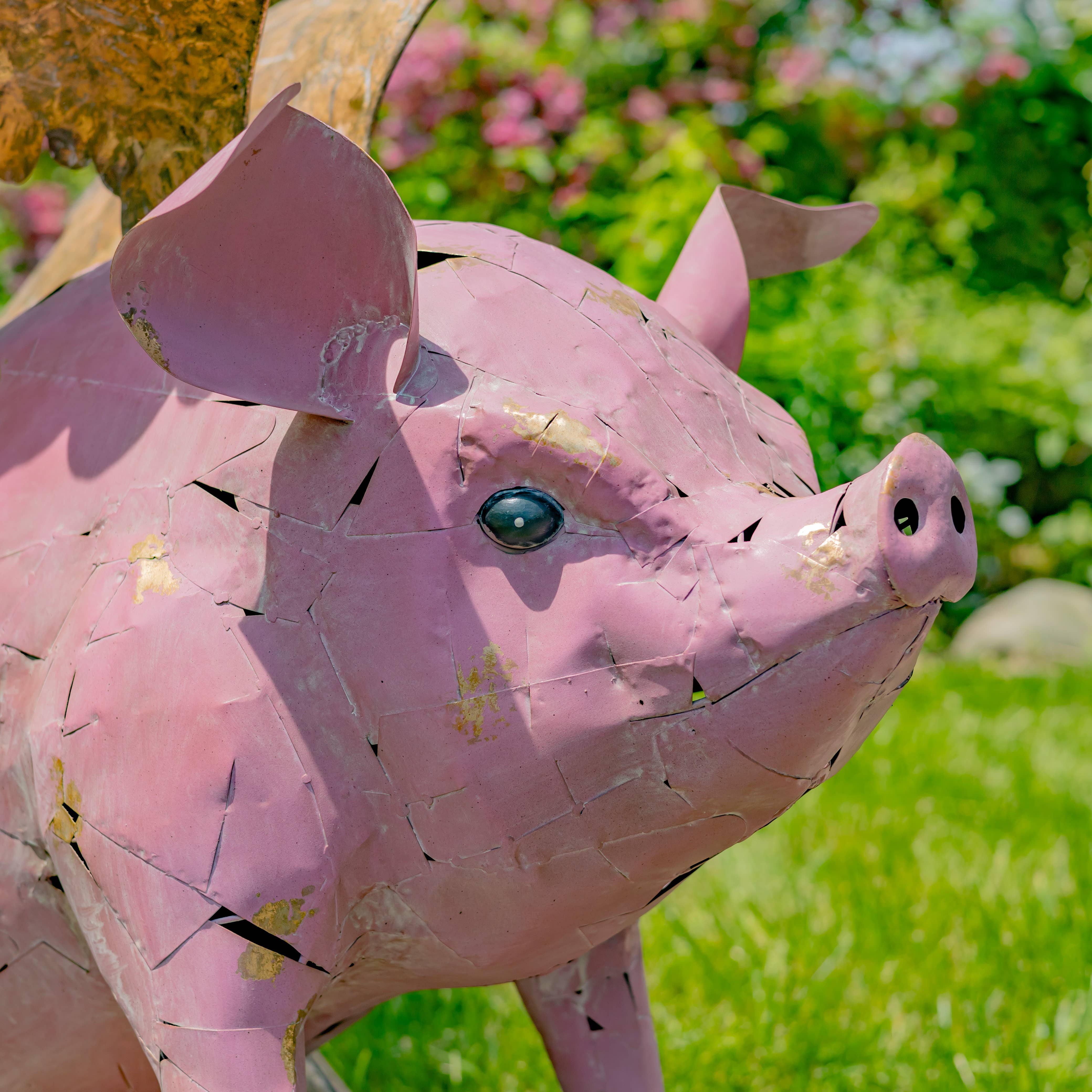 Zaer Ltd. International - Wholesale Outdoor Ornament/Decor - 30.5" Tall Flying Pink Iron Pig Statue with Golden Wings2