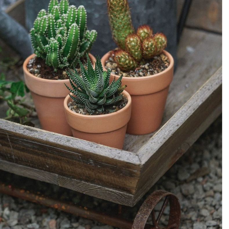 Rustic Reach - Wholesale Planter Box - Small Decorative Wooden Wagon Flower Cart4