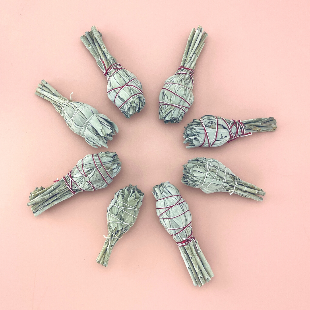 Sow the Magic – Engroshandel Salviepakke – Torch Hvid Salvie Smudge Stick2