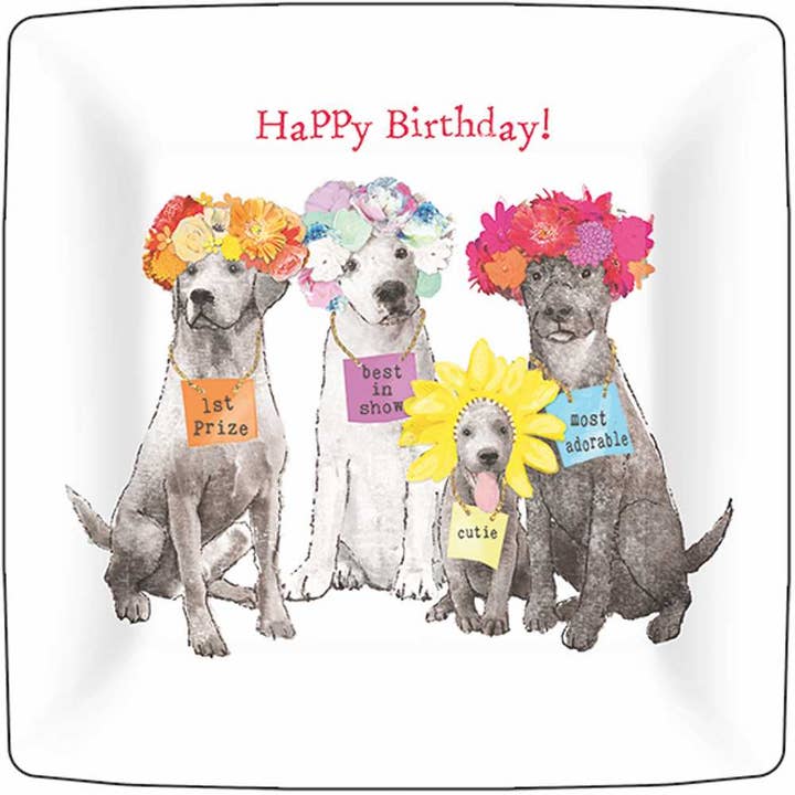 DSSRT 7"SQ- BEST IN SHOW BIRTHDAY for wholesale by Paperproducts Design • Ambiente