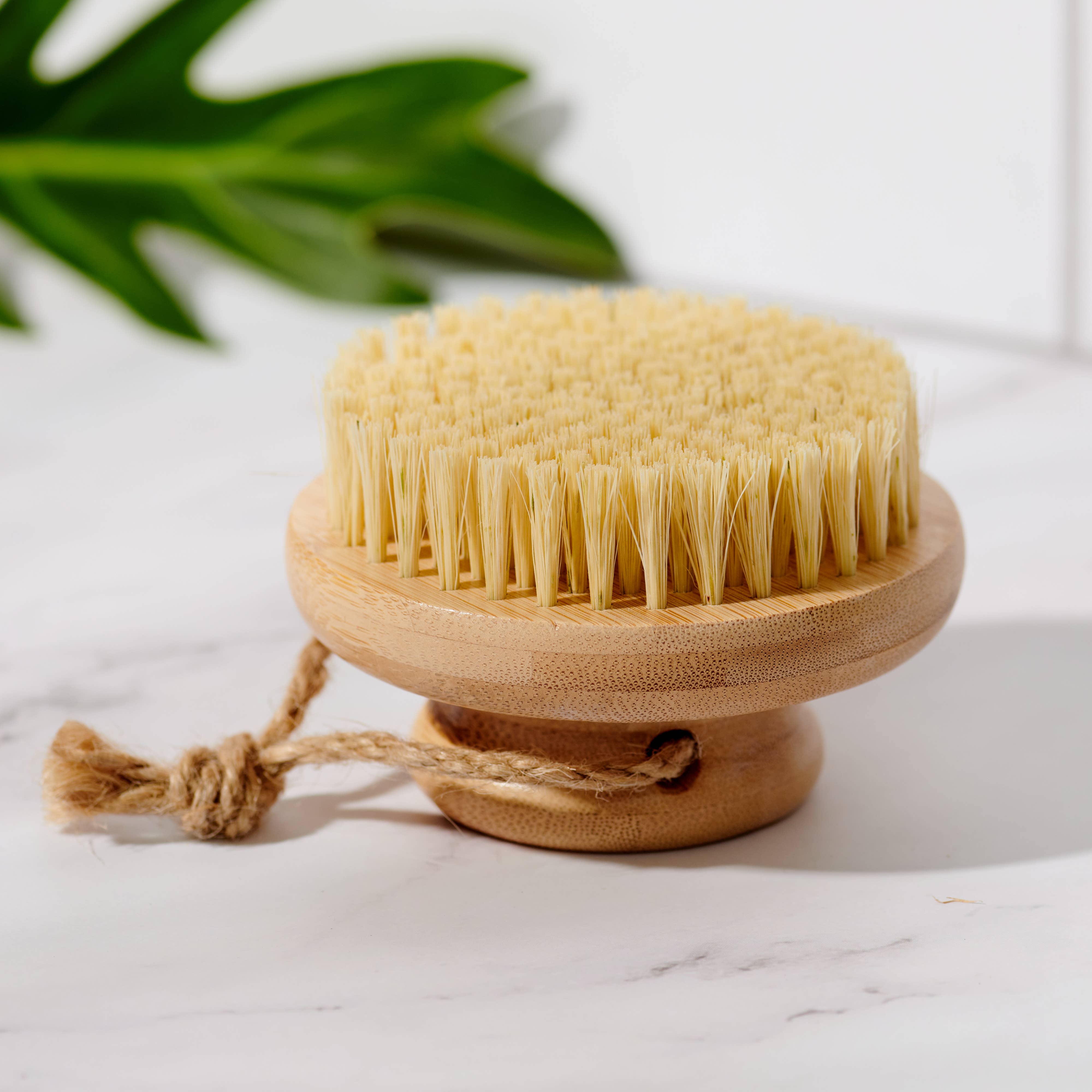 Desesh - Wholesale Body Brush - Bamboo Dry Body Brush with Short Handle (Plastic Free)4