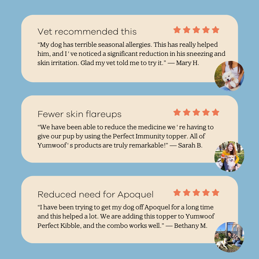 Yumwoof Natural Pet Food - Wholesale Pet Supplement - Dog - Perfect Immunity4