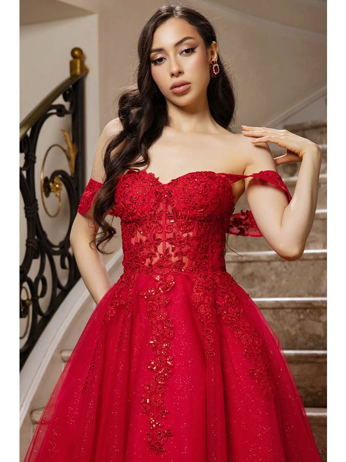 Babyfox Apparel – wholesale Gown – Women's – Off Shoulder Mesh Overlay A Line Dress5