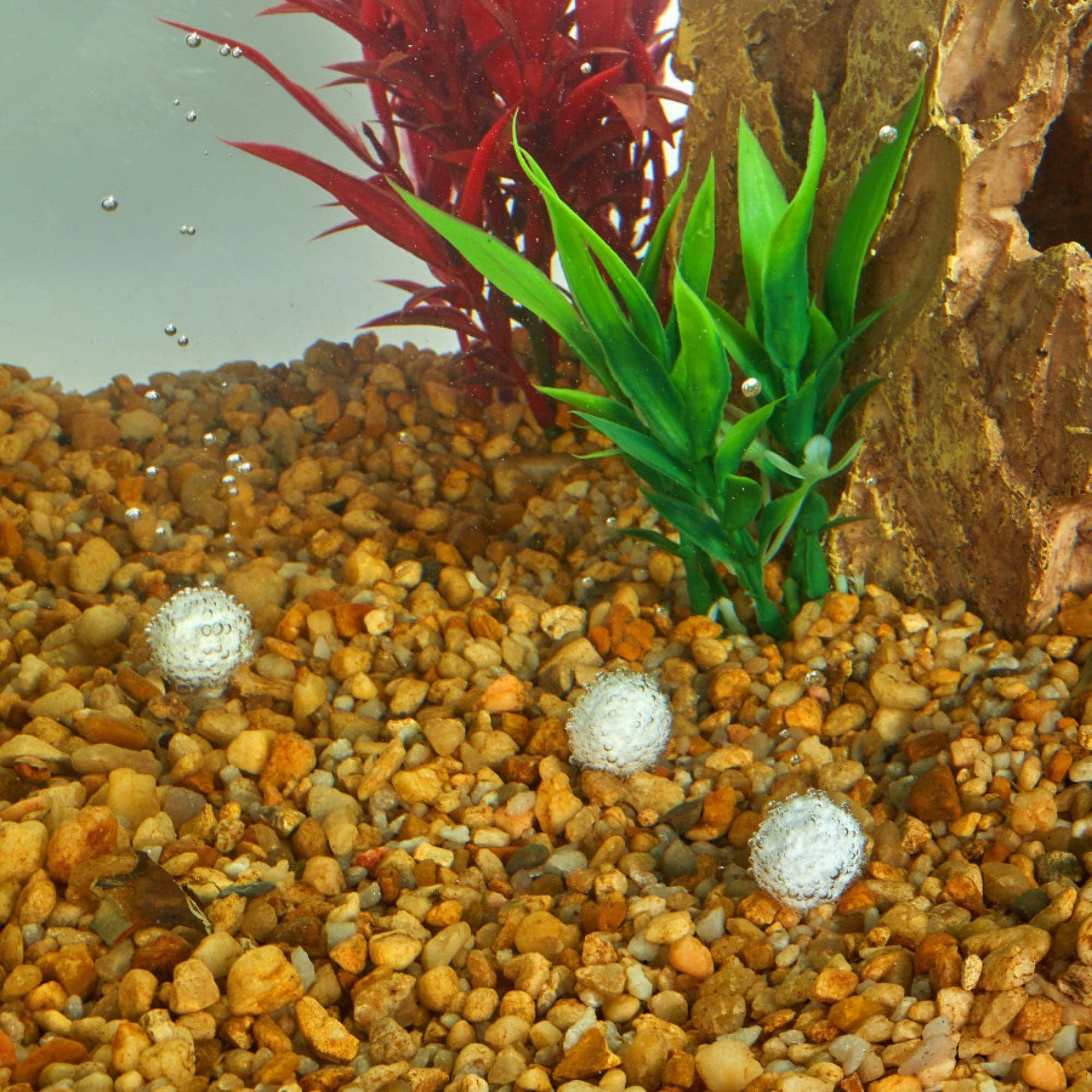 Petdropshipper - Wholesale Pet Supplement - Not Cat/Dog - Aqueon AquaPacs Sludge Remover 6ea/4 pk, 10 gal2