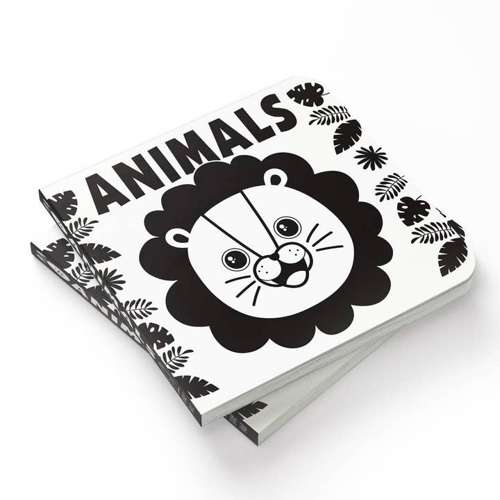 Independent Publishers Group - Wholesale Baby & Toddler Book (0-2) - Baby’s First High-Contrast Books5