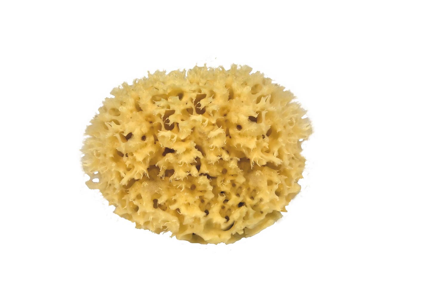 Croll & Denecke - Wholesale Bath Pouf/Sponge - Sustainable natural sponge from the sea Boho bath wellness spa8
