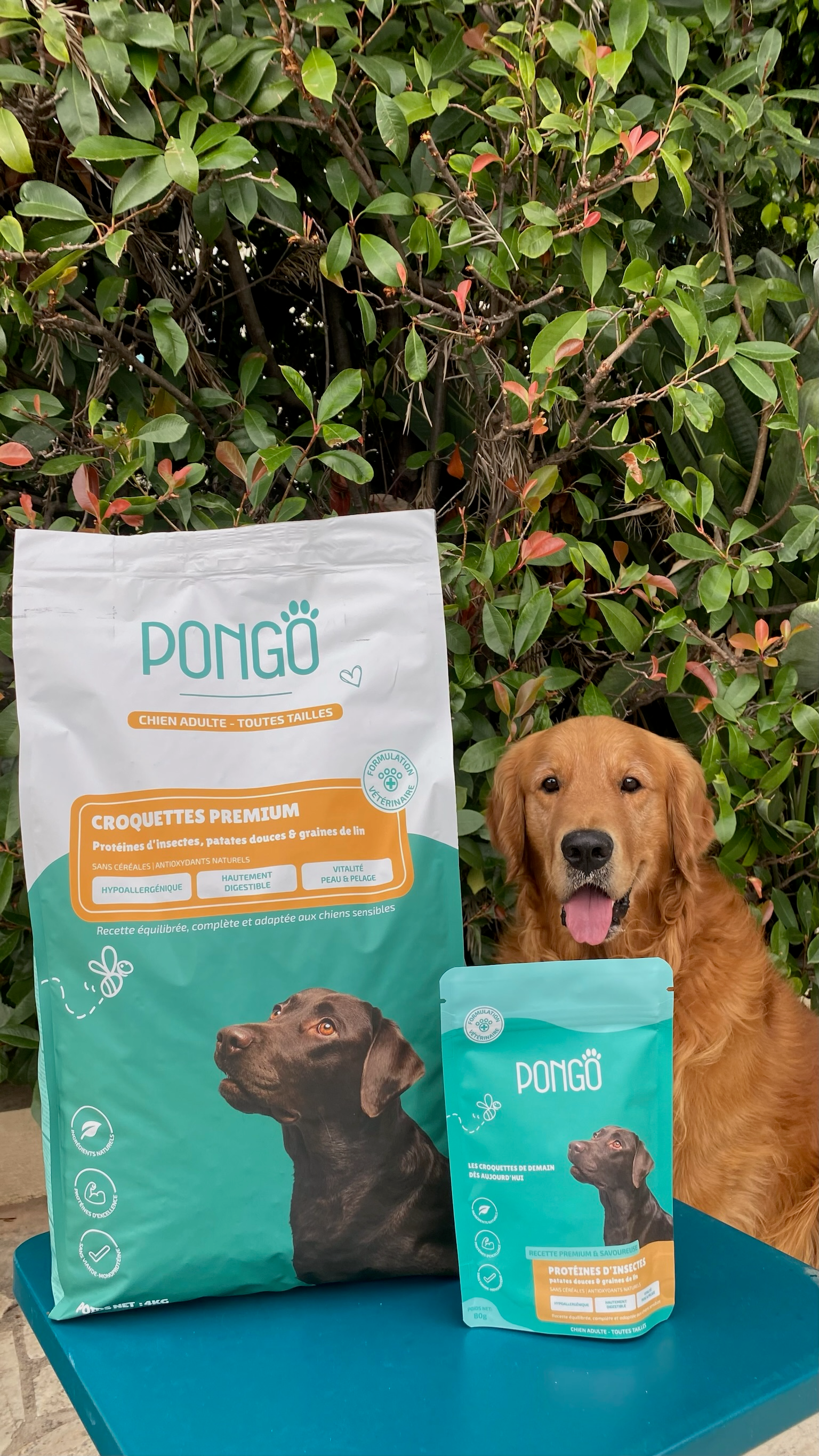 PONGO - Wholesale Pet food – Dog - Hypoallergenic grain-free dog kibbles - 80g3