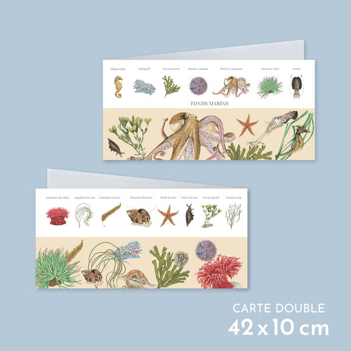 Seabed - Double card for wholesale by Longue-vue
