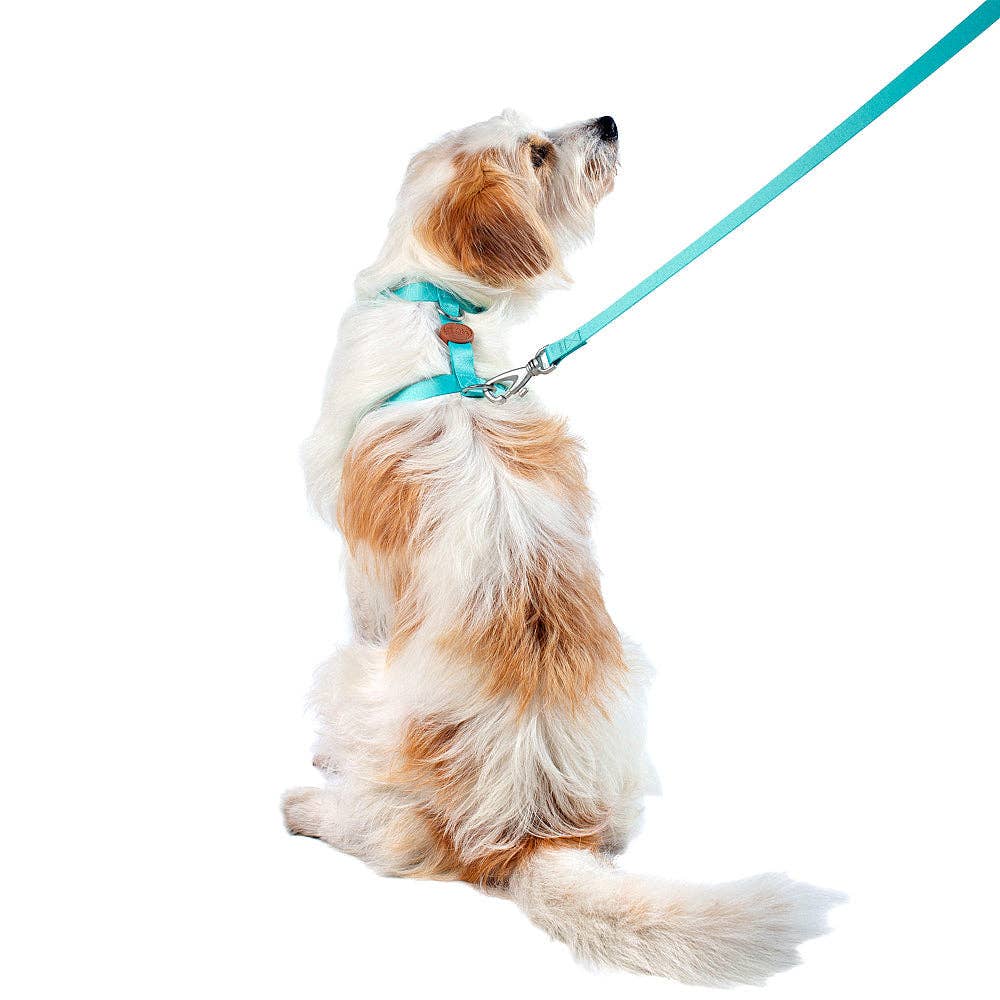 Toh - Wholesale Pet Leash - Dog - The H-Harness + Leash Set Maresia2