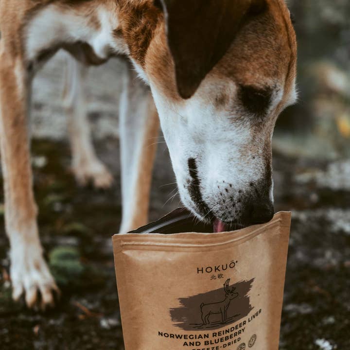 Norskt renlever för katter och hundar | Hokuō® för wholesale av Hokuō®