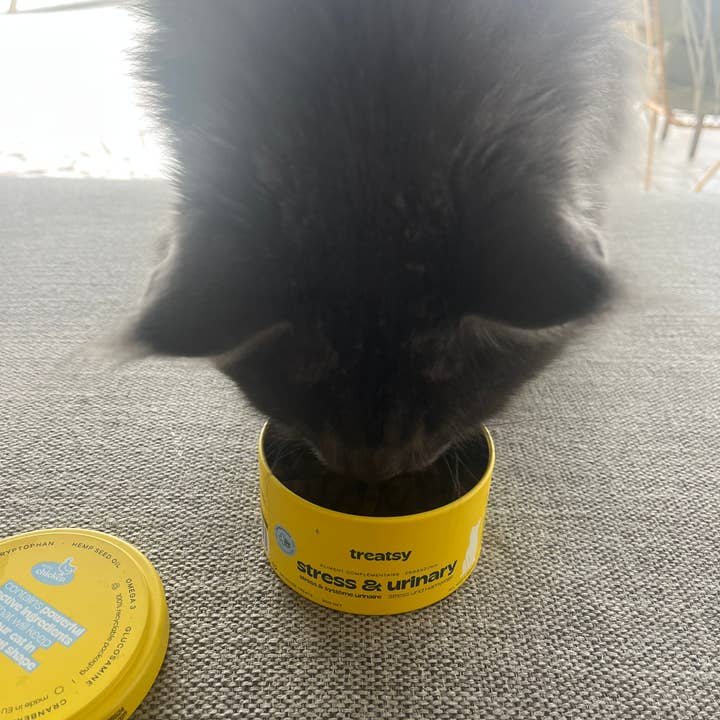 Treatsy - Wholesale Pet Supplement - Cat - Cat Stress & Urinary Supplement | Vet recommended | Fish & C11