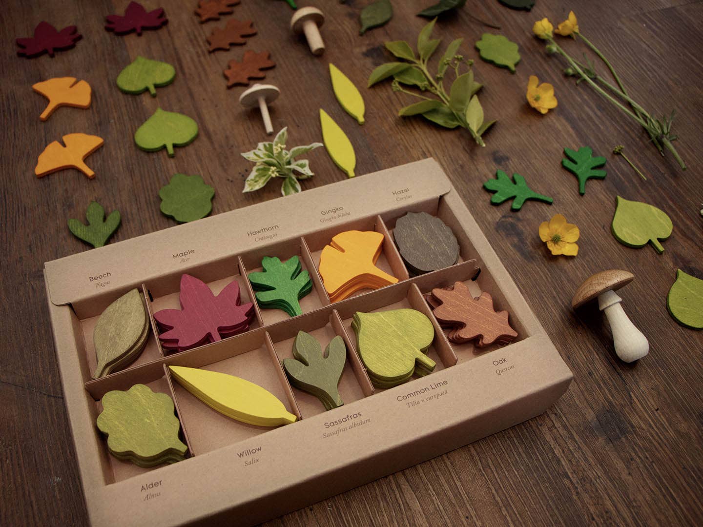 Living Refinery - Wholesale Houten speelgoed - Kinderen - [NIEUWE PRIJS] Moon Picnic - Bosbladeren3