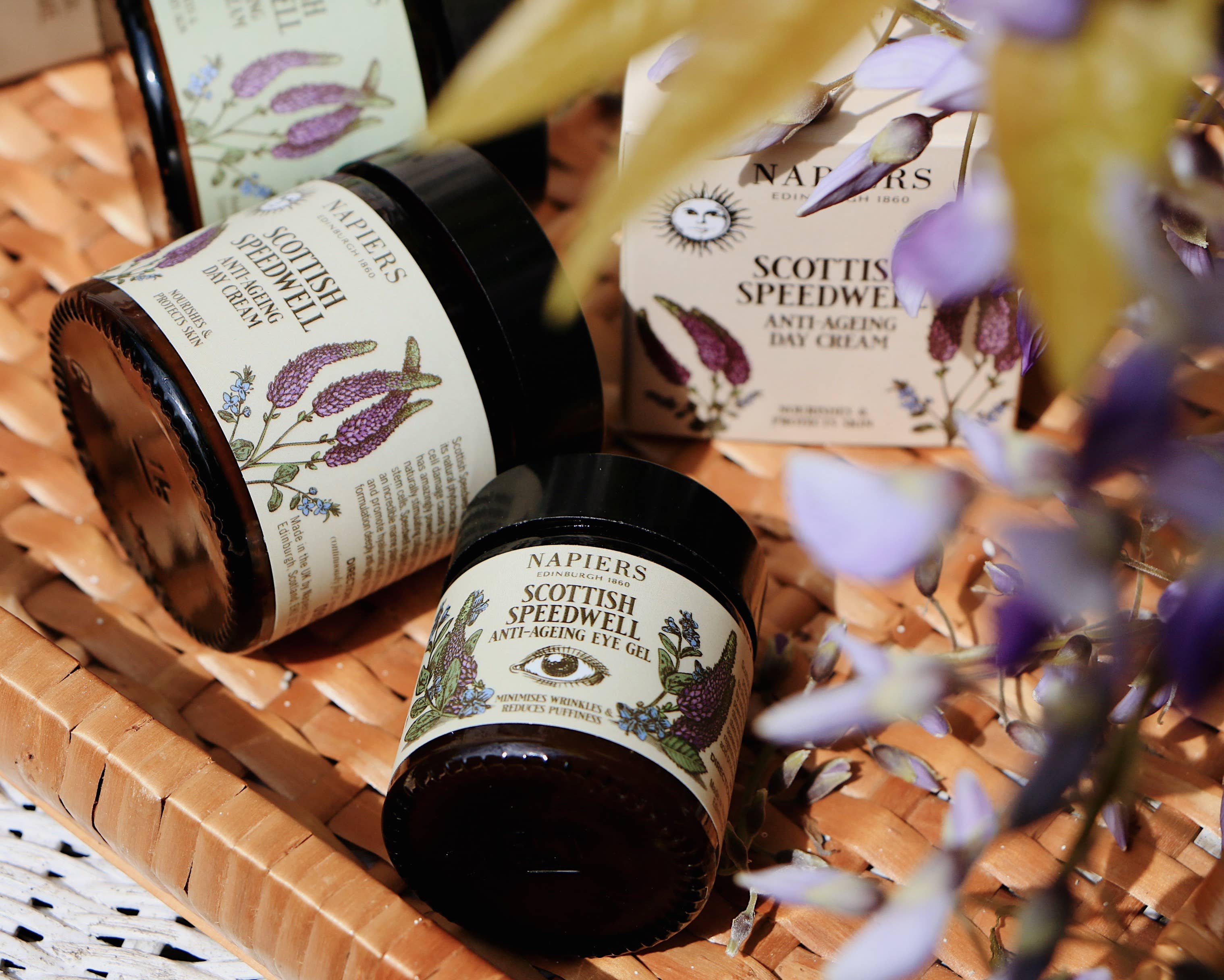 Napiers - Venta al por mayor Cremas hidratantes antiedad - Crema de día Napiers Speedwell Ageless7