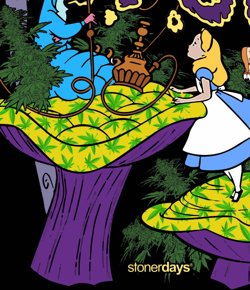 StonerDays Apparel - Wholesale Hoodie - Unisex - We're All Mad Here Hoodie12