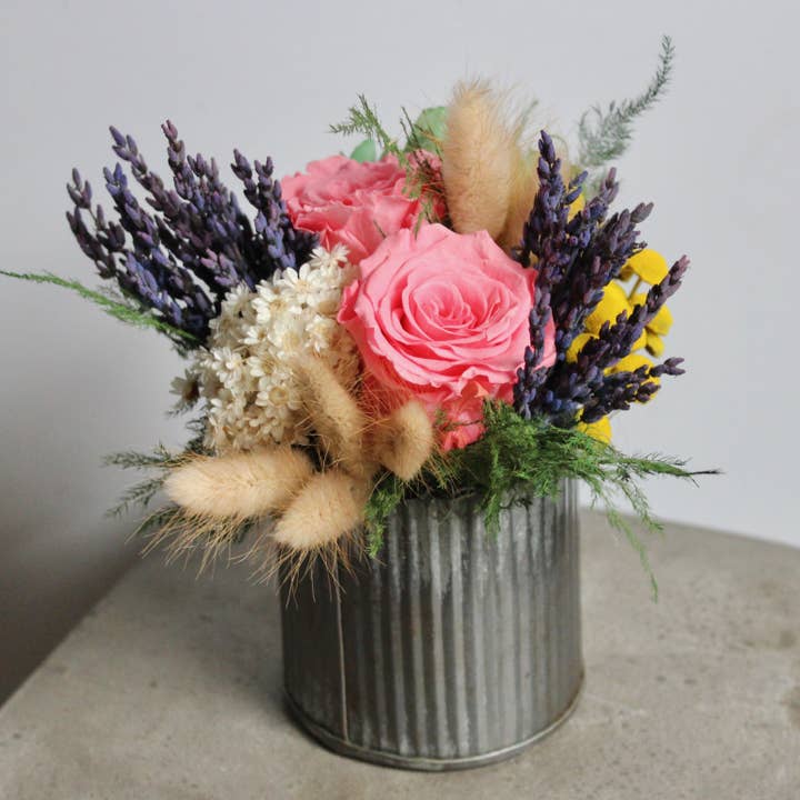 Natural Star Flowers (Marcela) for wholesale on Faire3