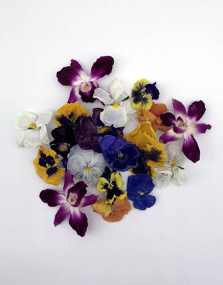 Freshly Preserved - Wholesale Dried/Pressed Flowers - Freeze-dried Edible Pansies and Orchids Pack1