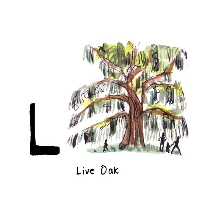 L (Carolina do Sul) por atacado de The Letters NYC