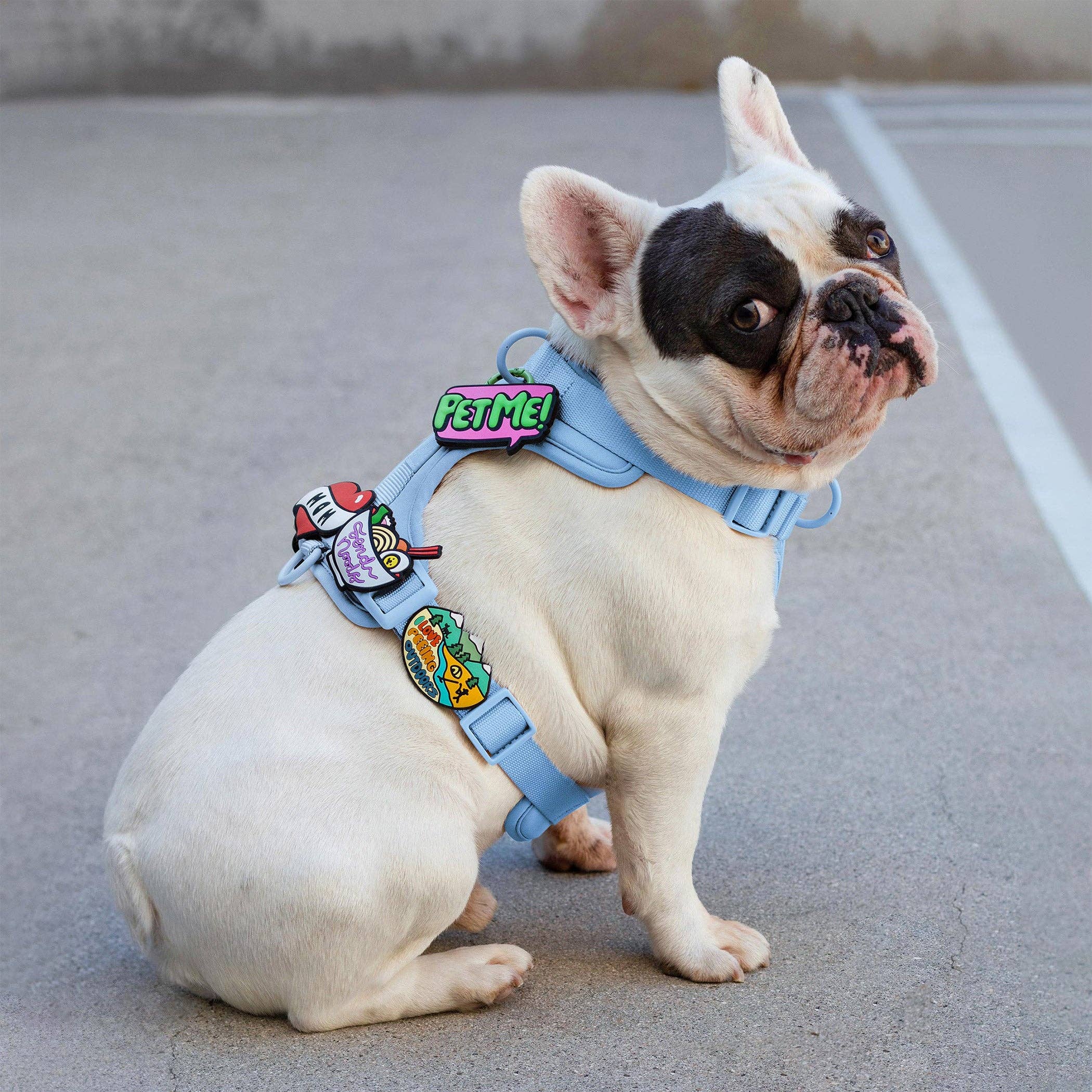 Jiby Dog Crew - Wholesale Pet Collar Charm - Cat/Dog - Pet Me Jiby Dog Charm2