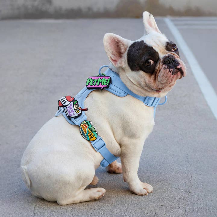 Jiby Dog Crew – wholesale Pet collar charm – Cat/dog – Pet Me Jiby Dog Charm2