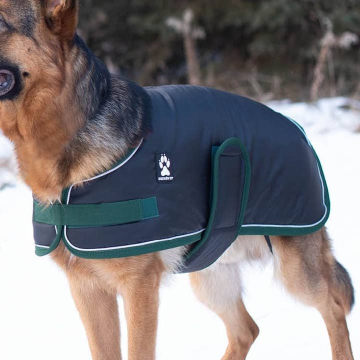 Shedrow K9 Vail Dog Coat - Black for wholesale by Shedrow K9