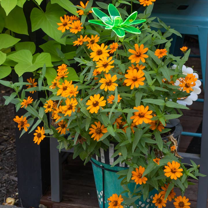 The Colored Petal - Wholesale Garden/Lawn Stake - Dragonfly garden stake - Garden ornament