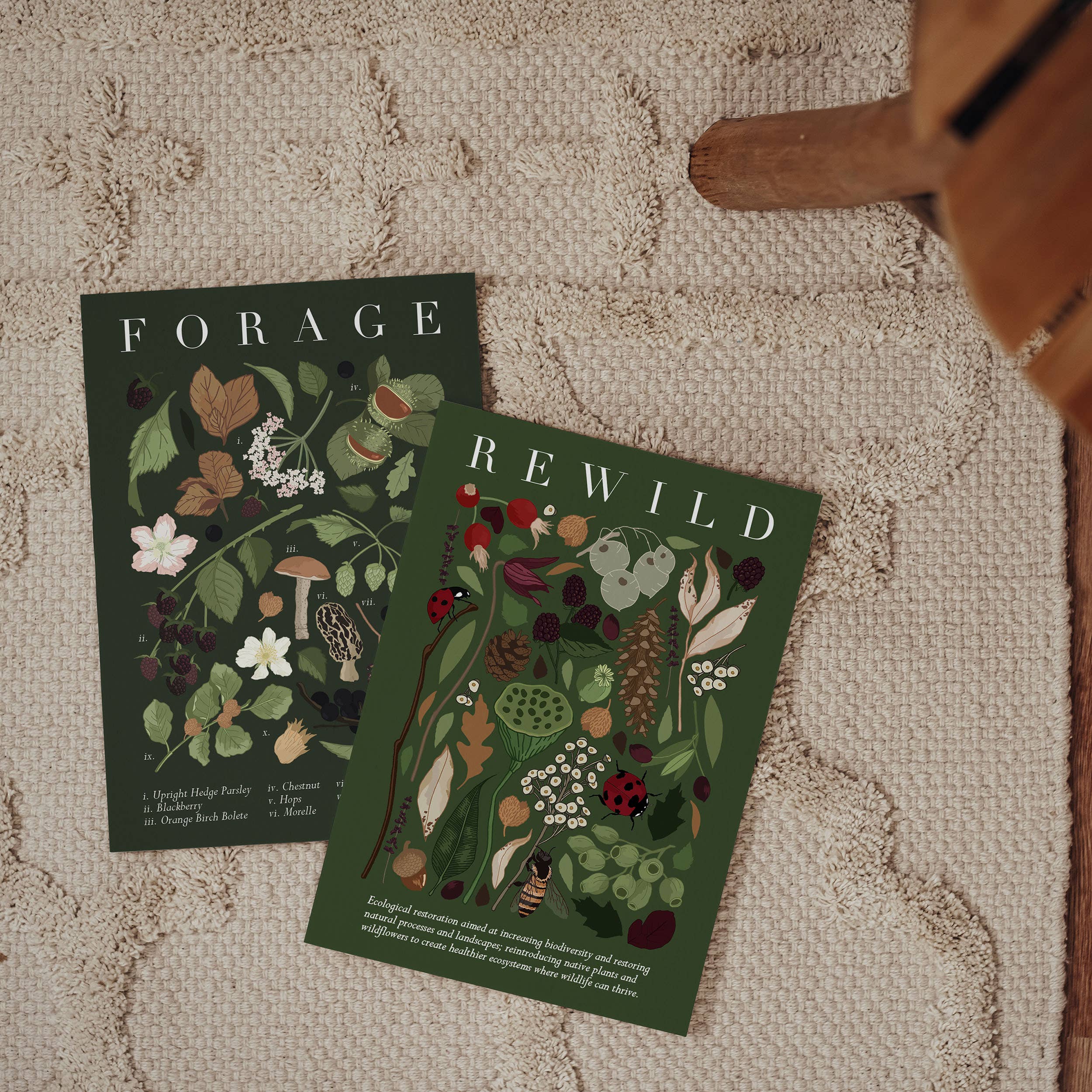 Wildwood Paper – wholesale Everyday greeting card – Rewild Moss Green Botanical Everday Autumn Rewilding Card1