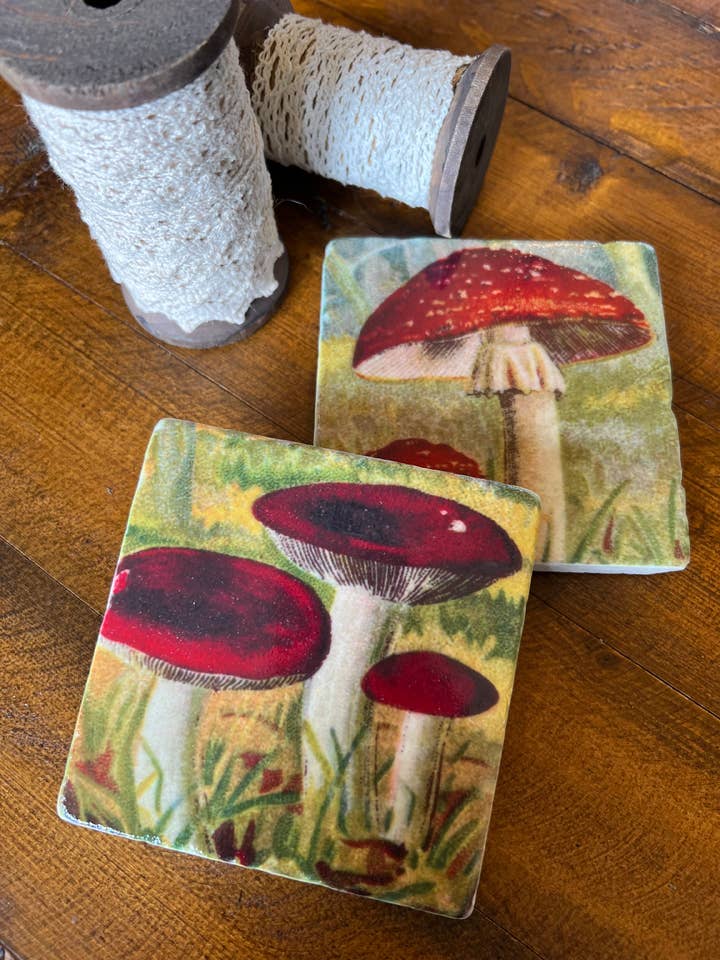The Painted Lily - Wholesale Coasters - Mushrooms stone coasters - case of 42