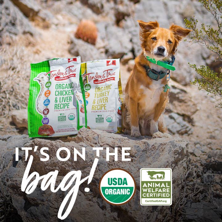 Tender & True Pet Nutrition - Wholesale Pet Food - Dog - Organic Turkey & Liver Recipe Dry Dog Food, 4 lb.