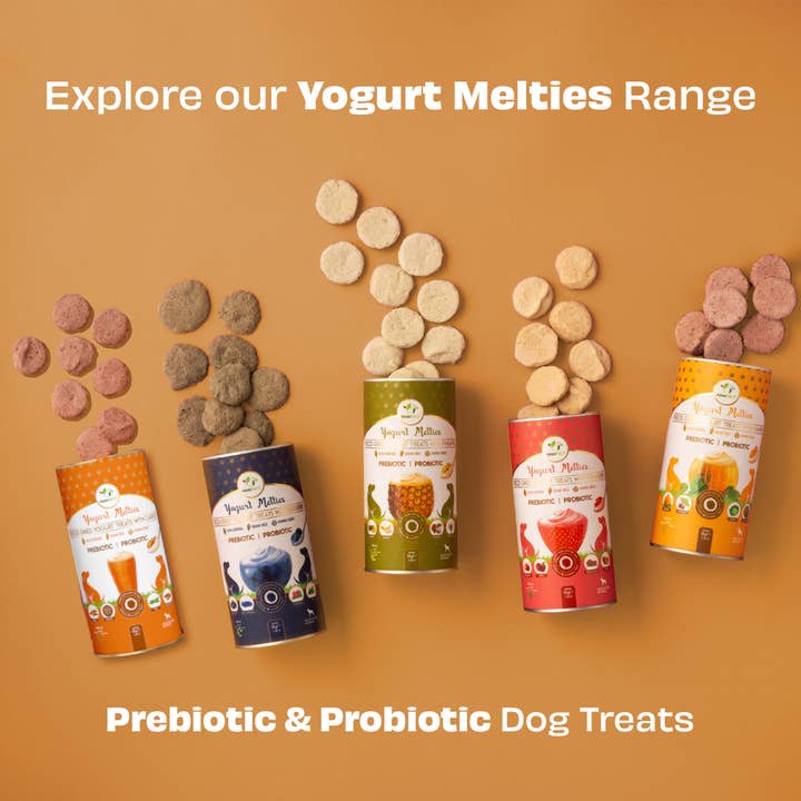 Pawfect Foods – Engroshandel Godbid - Hund – Pawfect Yoghurt Melties Pre- og Probiotiske Hundegodbidder med Gulerod, Hørfrø, Ærte & Sød Kartofler | Sund Fordøjelse | Få Kalorier | Korn- & Glutenfri | Belønnings- eller Træningsgodbidder (38g/1.34oz)6