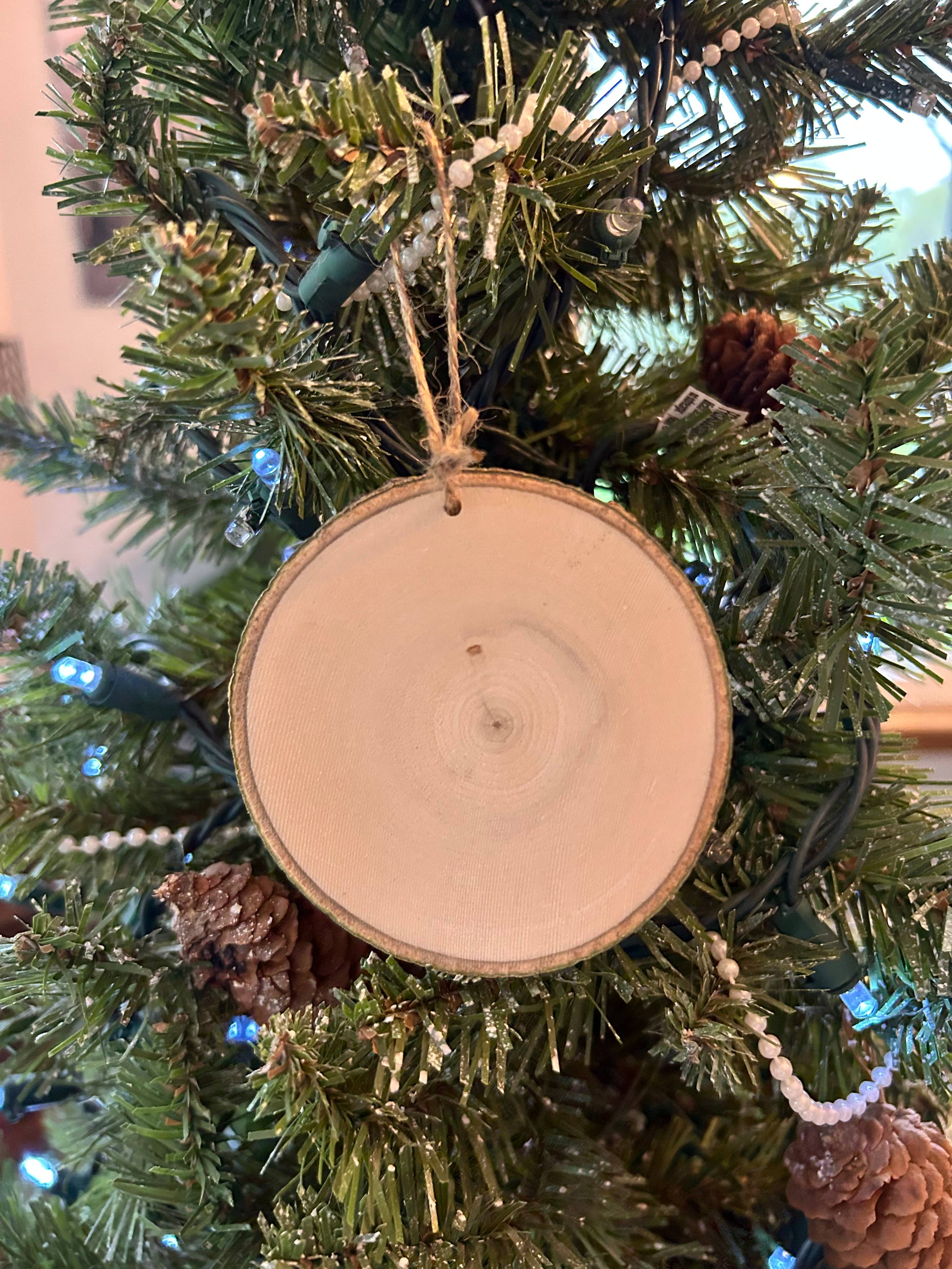 Parks Art Collection - Wholesale Ornament - Grand Teton National Park Ornament, Jackson Hole, Tetons1