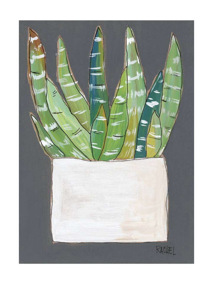 Zebra Kaktus Print for engroshandel hos Rachel Cordaro