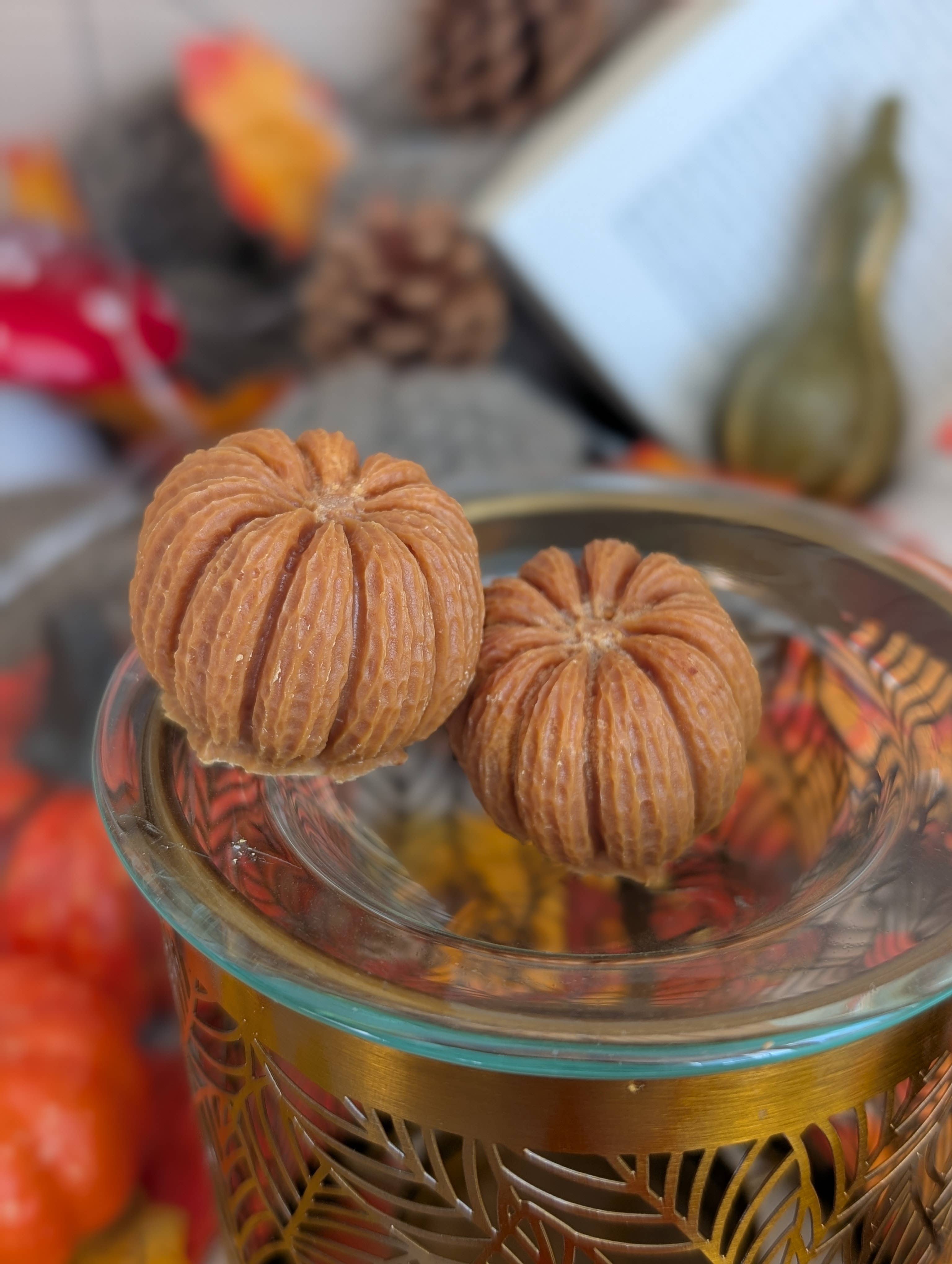 Les bougies Burgondes - Wholesale Wax Melt - Pumpkin fondant1