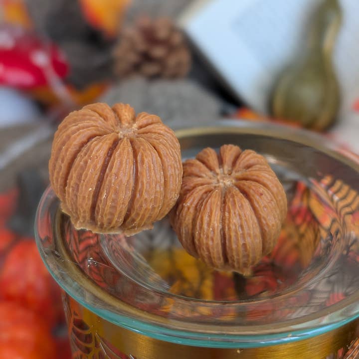 Les bougies Burgondes - Wholesale Wax Melt - Pumpkin fondant1