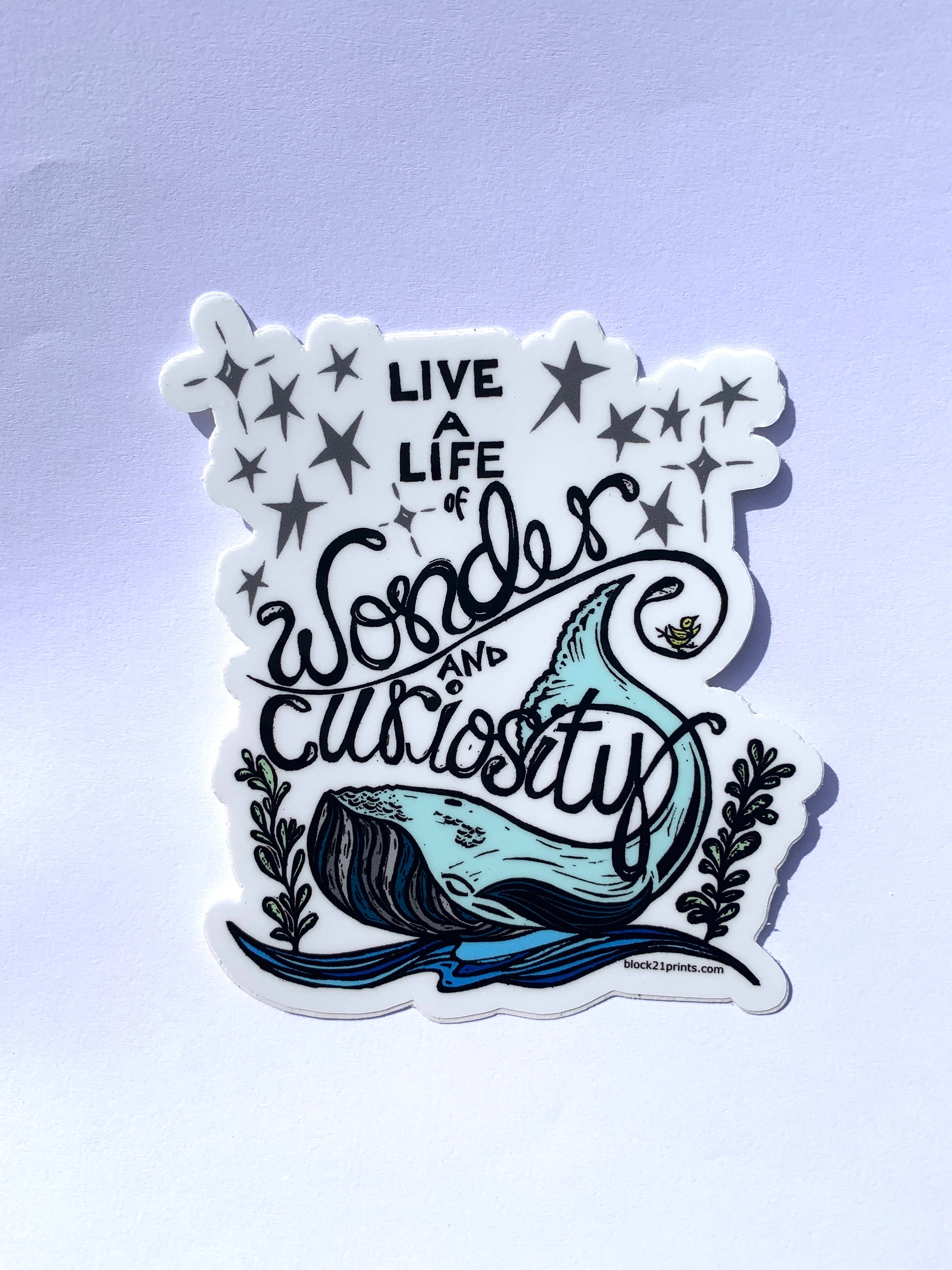 Block21Prints - Wholesale Sticker - Sticker van Verwondering en Nieuwsgierigheid – Walvis Kust Oceaan Decal1