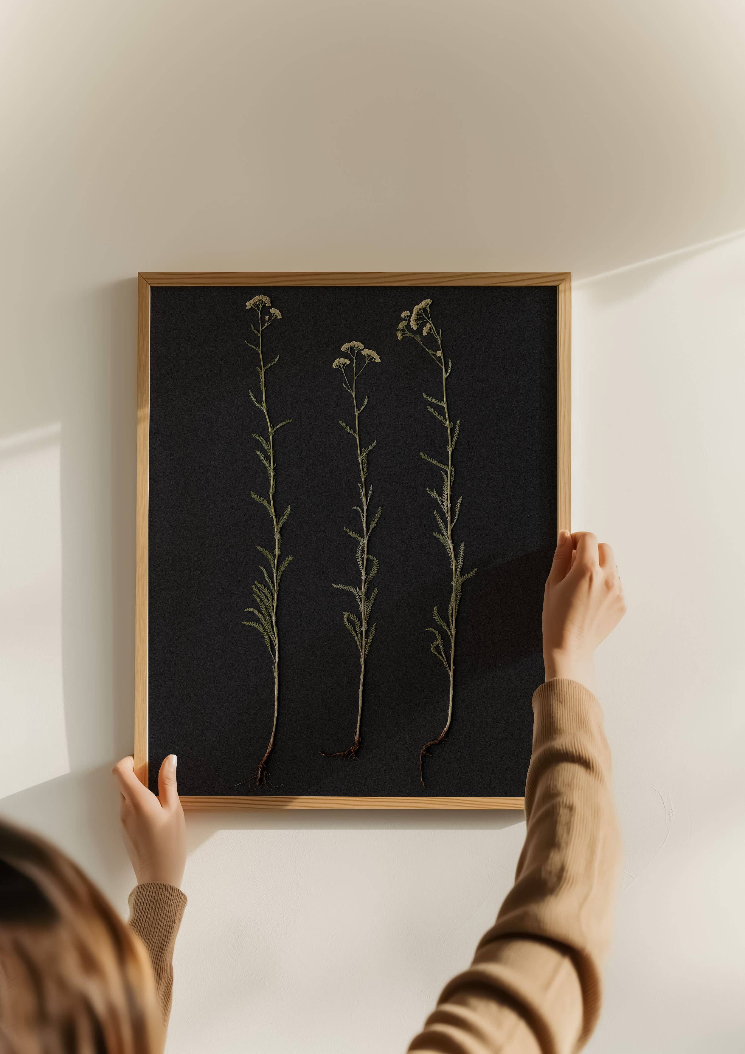 Hope Steinle Pressed Flower Art - Wholesale Art Print - Root Series No. 11